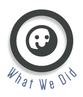 WHAT WE DID